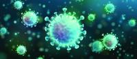 A closeup of the COVID-19 virus
